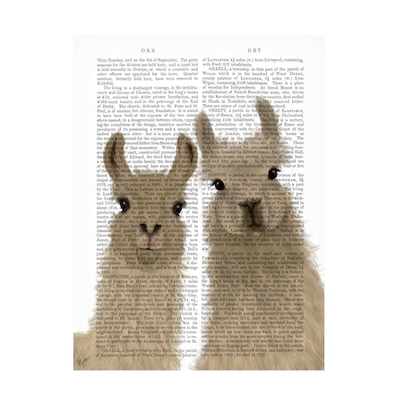 Fab Funky 'Llama Duo Looking At You Book Print' Canvas Art, 35x47